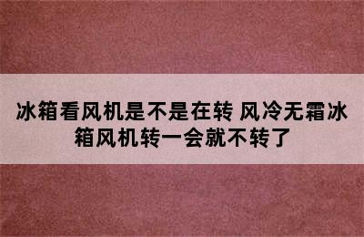 冰箱看风机是不是在转 风冷无霜冰箱风机转一会就不转了